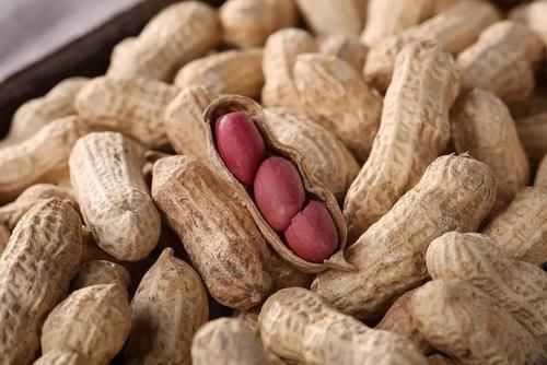 患者|高血压能不能吃花生呢？医生：这几种食物建议大家尽量不要碰