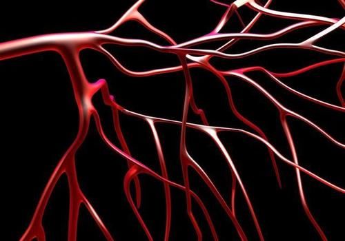 颈动脉内膜|“血管老化”的五大常见征象，您有吗？及时干预，哪些药物可选？