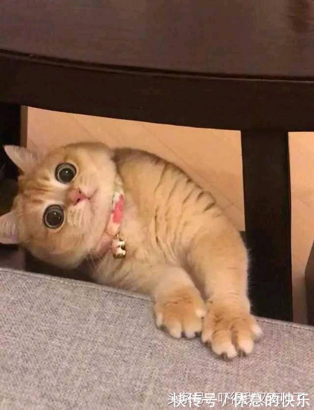 |开心一刻笑话:公交车上开着空调,我忍不住将体内的胀气排出体外