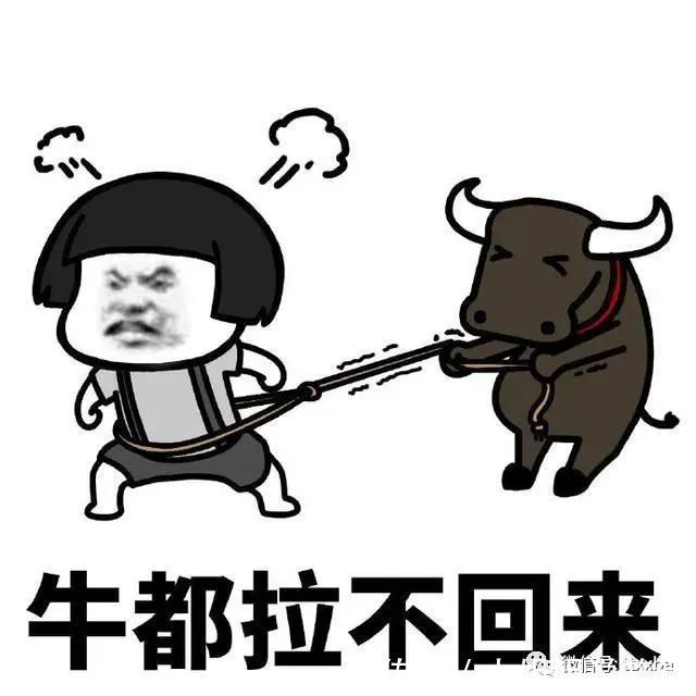 |男女同桌笑话，听爸讲读书的故事！讲那个时候男女同桌要分38线