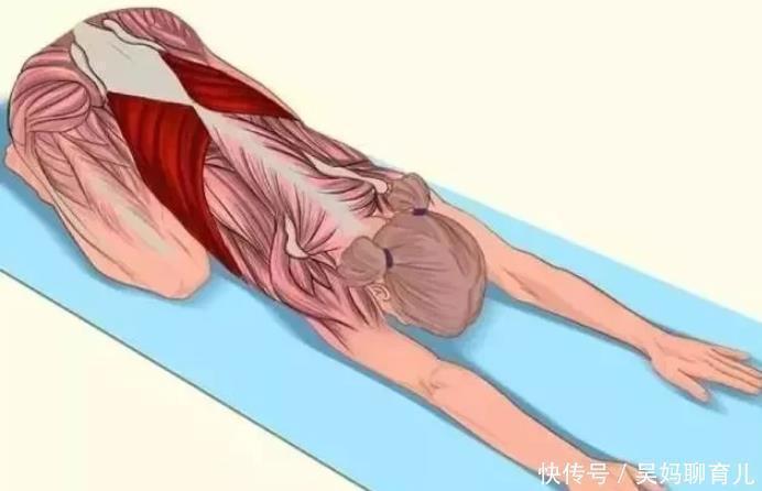 腘绳肌|全身拉筋3D图解,一步到位,在家也能强身健体