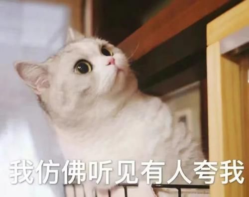 10款热门清洁、补水面膜,看看哪个才是值得买小宝贝!