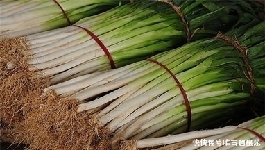 常吃葱的人,身体不会差,但切忌与一物同食,却有很多人不清楚