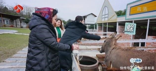 向太说自己儿媳必须会煮饭，郭碧婷四个字让她心花怒放，情商真高