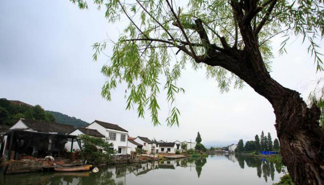 诗句|《全唐诗》里的网红诗句:我有一瓢酒,可以慰风尘,写得很是伤感