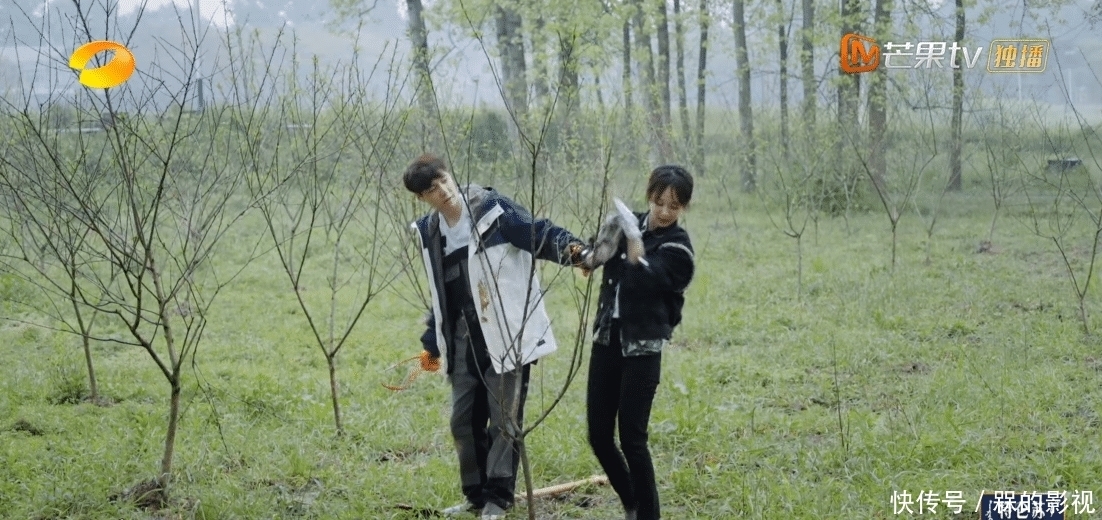 绯闻男女|绯闻男女何去何从?张艺兴对杨紫称呼三次转变,观众嗑糖嗑疯了!