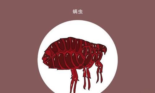 鼻子两侧挤出来的白色条状物，是什么东西？真的会越挤越多吗？