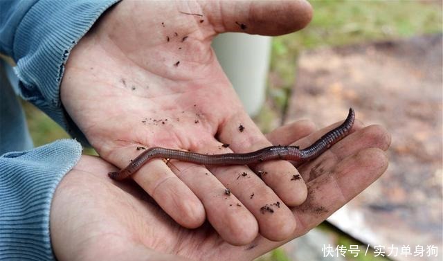 天冷钓鲫鱼，我就只服老钓友这3招，知道的人不一般，莫忽视