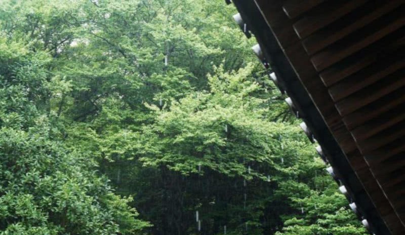 文人|贺铸晚年很凄美的一首词,通篇寥寥数语,却是写尽了一生的委屈!