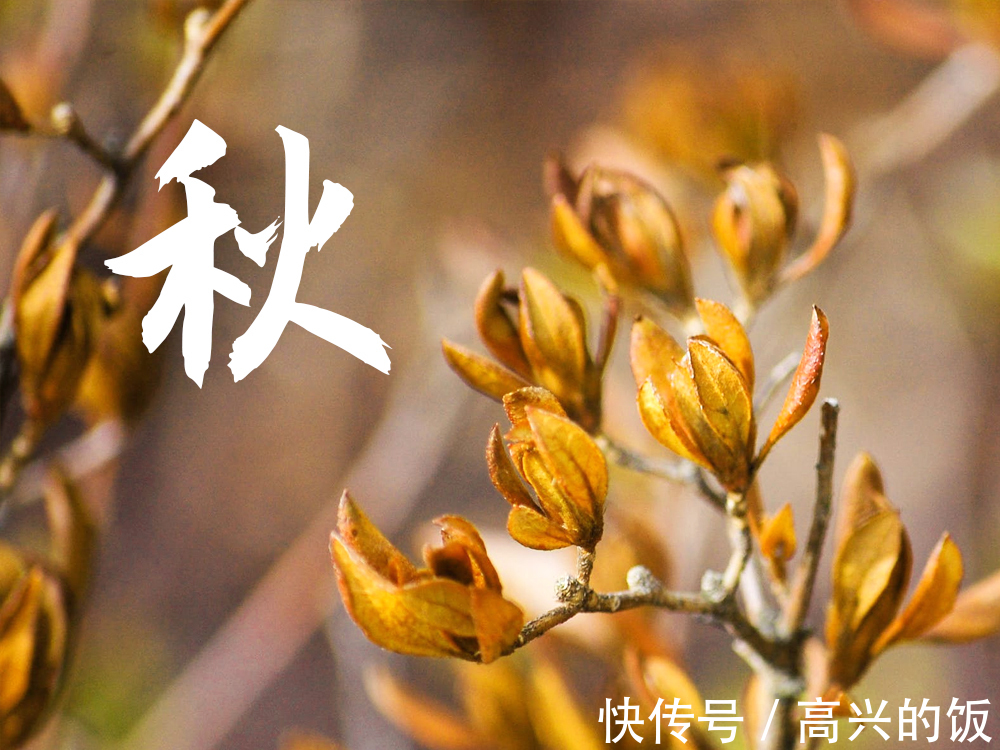 秋天|入秋三分虚,进补正当时,秋天该吃“7款饼”,合理饮食平安入秋