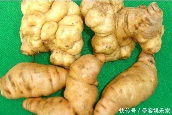 薄荷叶|李时珍说“服后身轻不老”，最好的美容圣品，很多人却当野菜