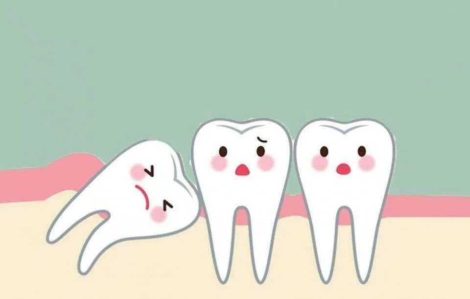 牙齿|奉贤区牙病防治所提醒：看牙别再挂错号！