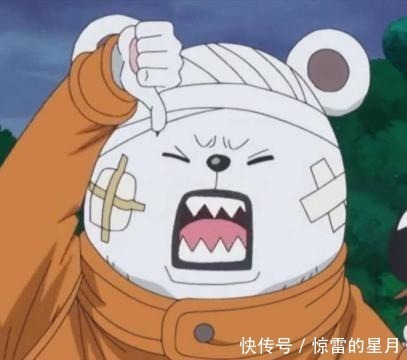 海贼王|可爱萌宠,海贼王中4只会说话的动物,乔巴赏金还是最低!