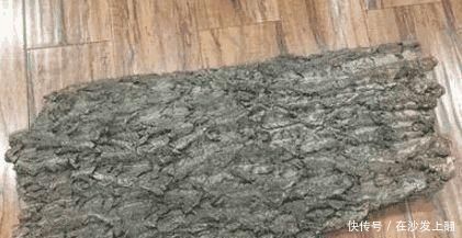 养兰花,盆里加点“它”,兰根不腐,根壮叶绿,兰花开满枝头