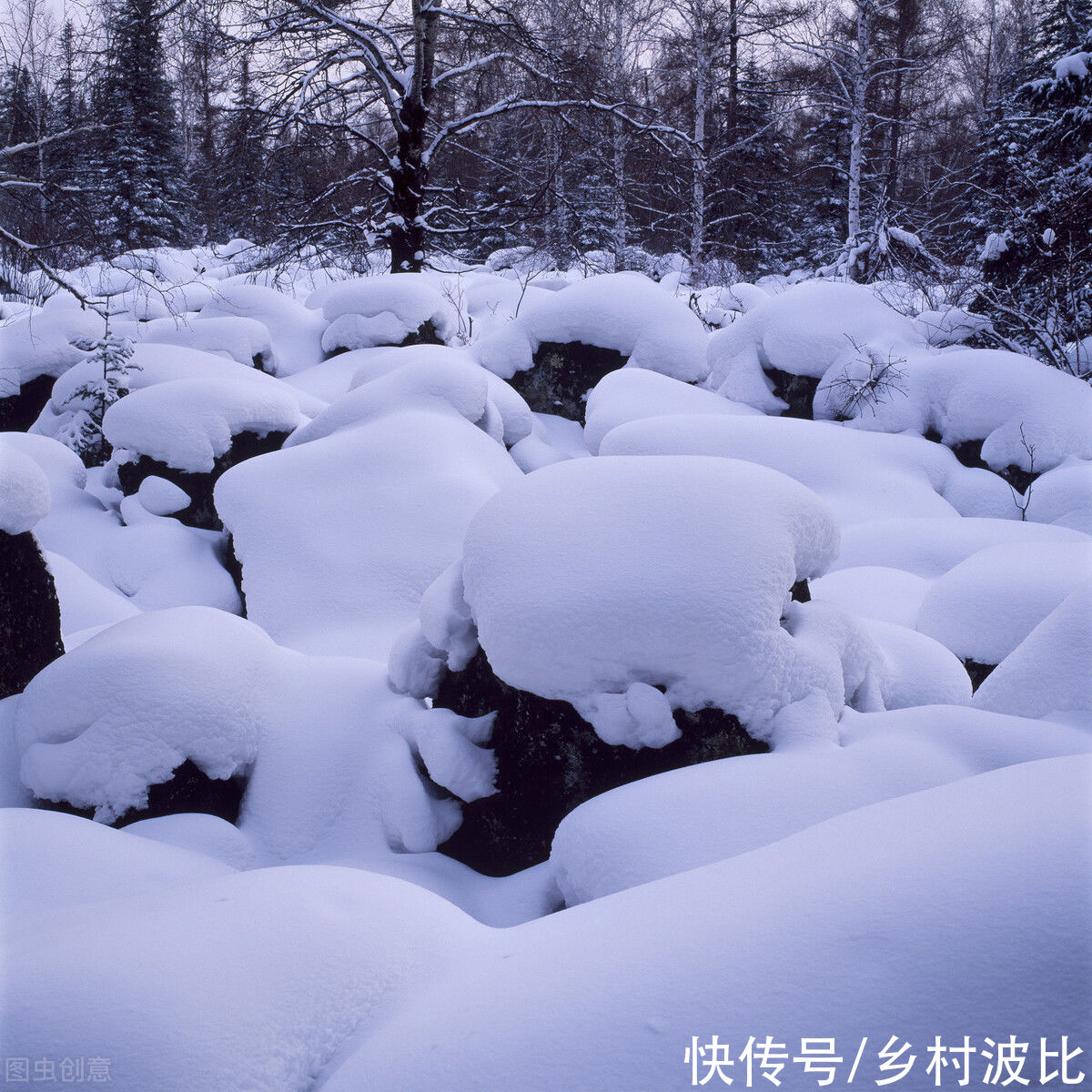 数九到来，今日进“三九”，俗语“三九四九，冻破碓臼”啥意思？