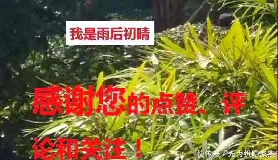 长久|为什么古时皇帝享尽荣华富贵，却还活得不如普通百姓长久？