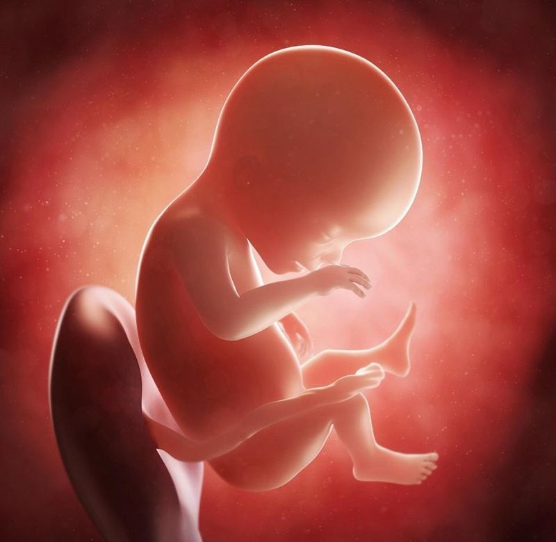 先天性|胎儿“畸形”高发期,一般发生在这个时间段,过了孕妈就可以放心