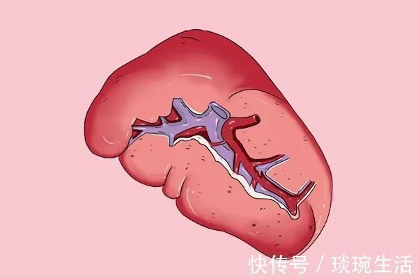 太白穴|脾虚人就废一半，脾最怕什么教你不花钱的方法，脾脏逐渐变强壮