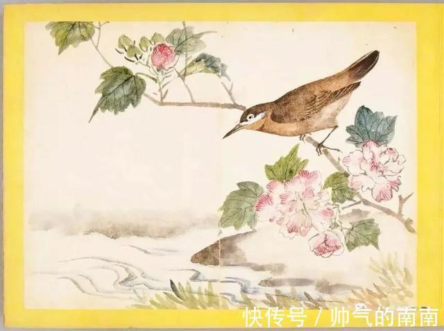 画谱!《百花鸟图》选页欣赏