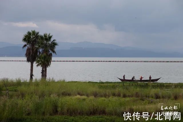 湖岸线|太太太美了！昆明又有两个湿地公园开放！还有一个好消息是…