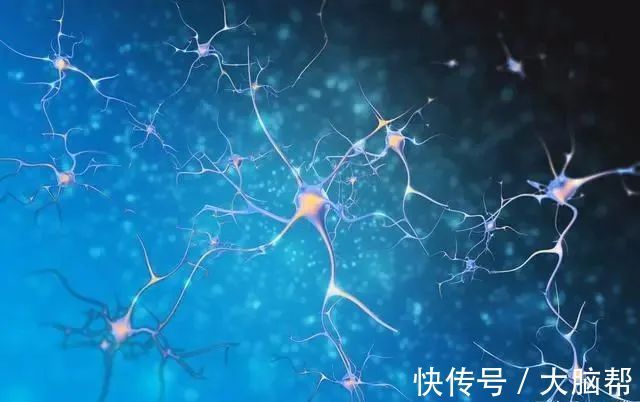 研究|脑科学研究:七个科学方法让学习更高效