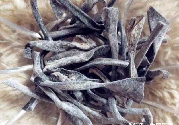 乳腺增生|老中医献方：1种普通草药泡水喝，竟是乳腺病的克星！极少人知道