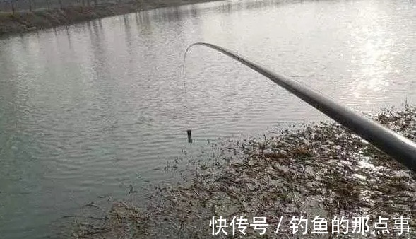 谷麦|冬天钓鱼,隔夜窝最容易出大鲫,天越冷效果越好