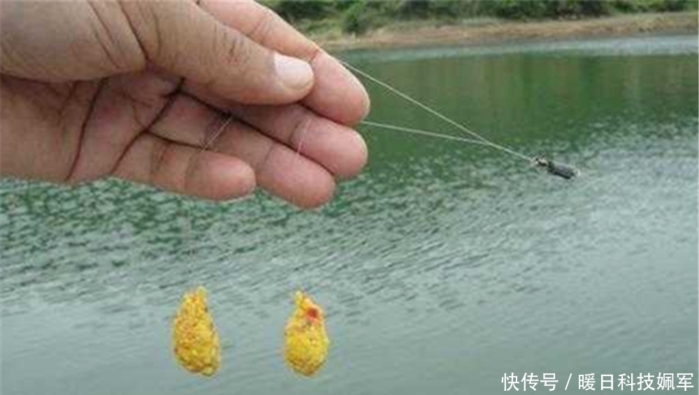 菜籽饼粉|野钓鲤鱼的天然饵料,味道纯正天然,有助于连竿上鱼