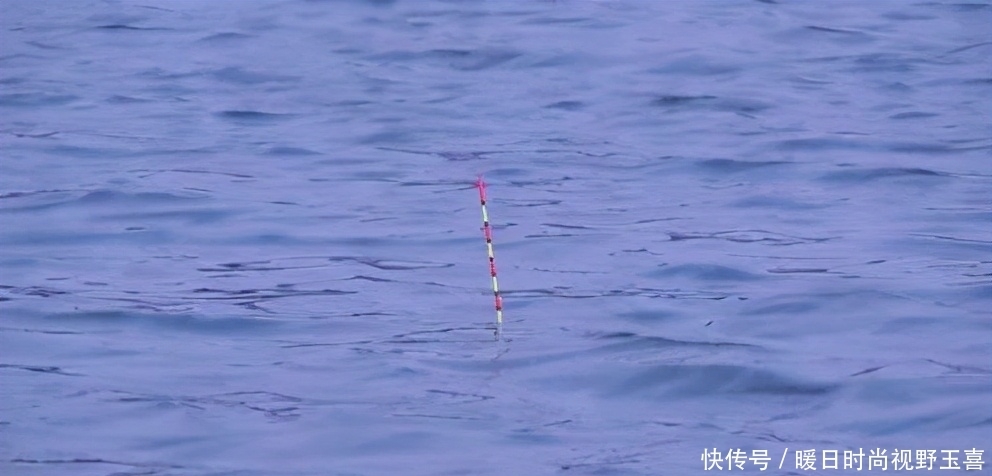 三目加粗的浮漂这么调，信号精准又清晰