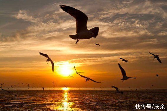 积雨辋川庄作&王维隐居辋川写下一诗,宛如一幅水墨画,美不胜收