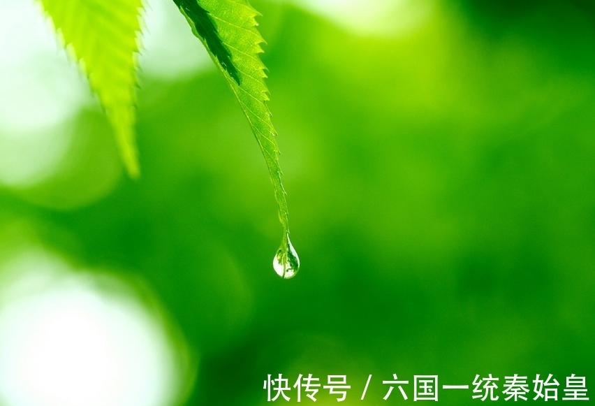 桃花|9月16日到30日，三生肖桃花旺盛，财源滚滚，喜事不断