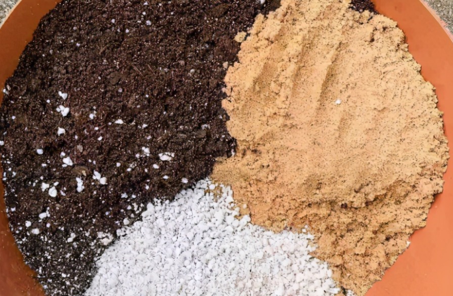 花友们|养花其实不用买土，这么配置万能营养土，有营养又透气