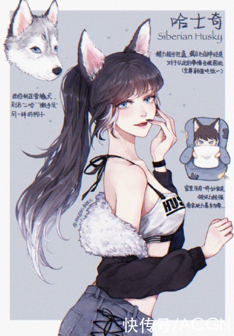 拟人|狗狗化身动漫美少女，萨摩变成白毛御姐，短腿柯基好俏皮