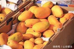 优质蛋白|在经期内的女性,尽量少碰3种水果,可能会直接“停经”