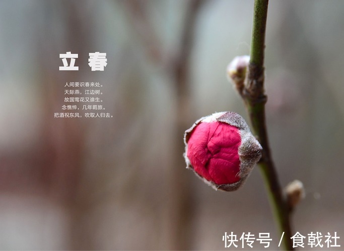 立春!春天开始了,今日“立春”,你“咬春”了没?
