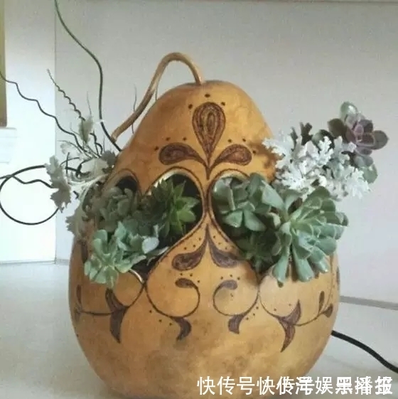 花盆|你还在花钱买花盆吗？别买了，自制花盆，比买的好看的多了