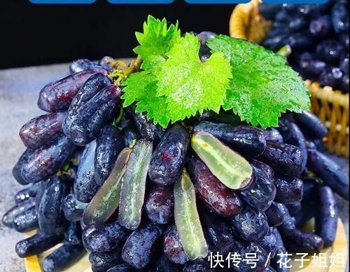 有院子的朋友，不要错过这种果树，不怕旱不怕晒，好吃还好看！