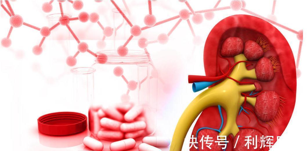 蛋白尿|慢性肾炎，持续多久后会变成尿毒症？4点饮食措施或能帮助延缓