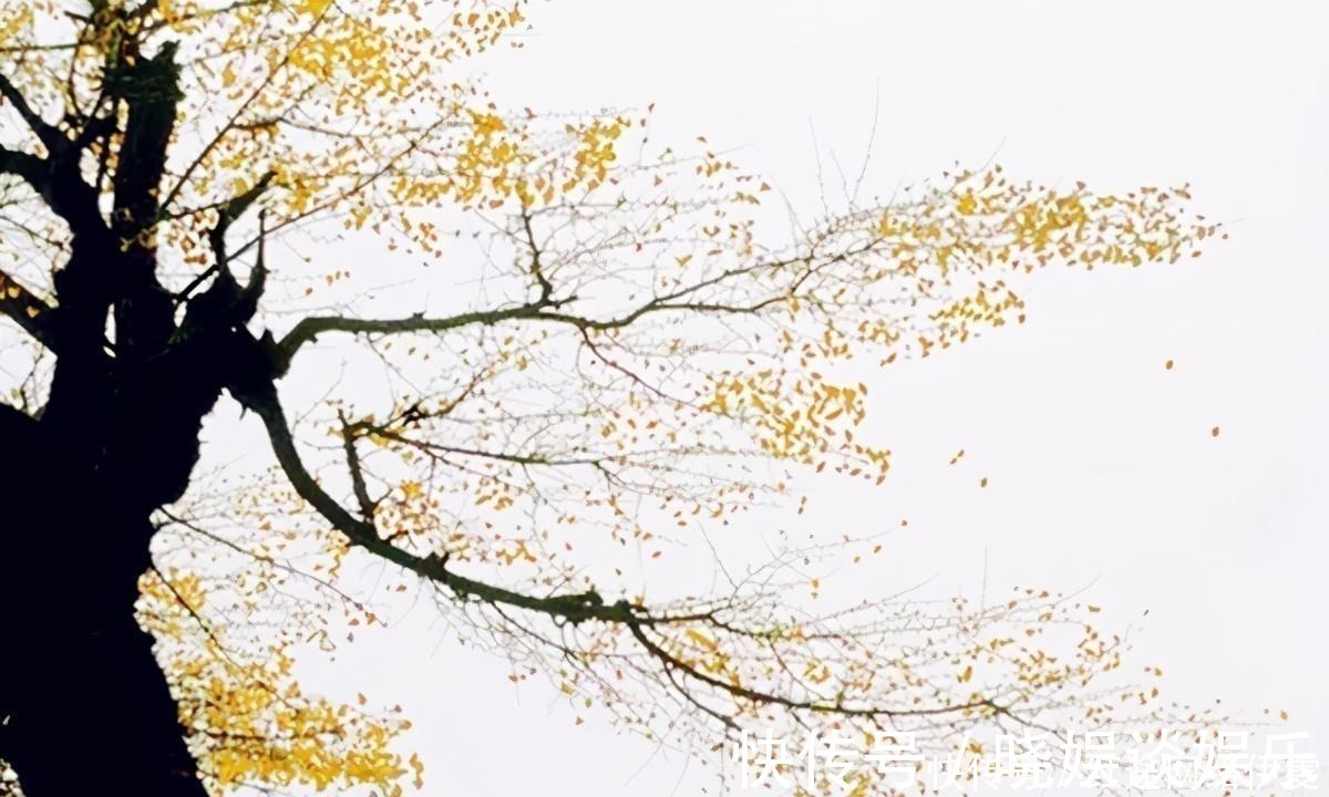 婉约词@晏殊《蝶恋花》乃婉约词极品,豪放词宗苏轼也作一首,可与之媲美