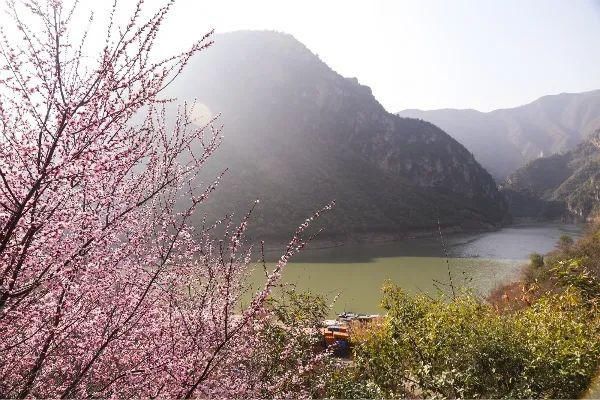 郑国渠旅游风景区第三届山野桃花节浪漫来袭~~