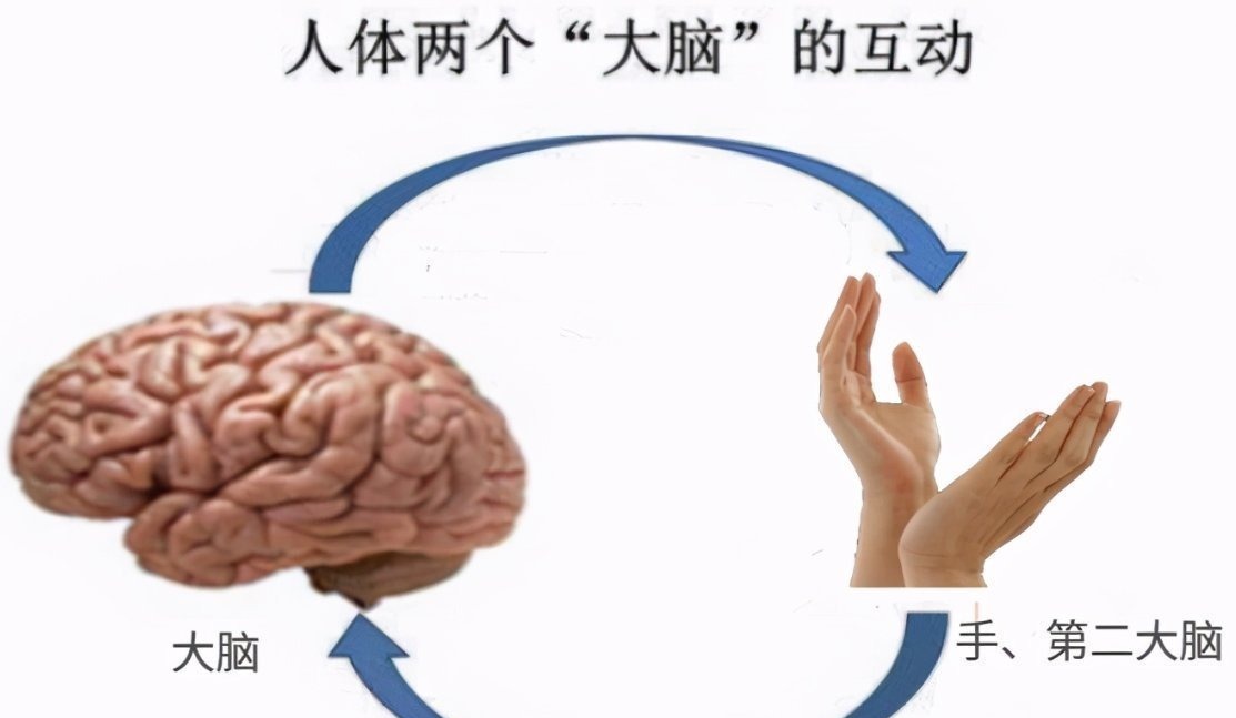 玩具|哈佛研究发现:家里这3个地方越乱,娃大脑越发达,父母别太勤快