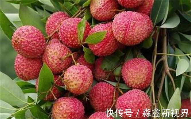 体质|爱美女性要多吃3种水果，营养丰富、改善体质，减肥瘦身