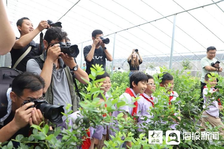 产业园|全国网络媒体走进东港区：零距离接触陈疃镇这片“蓝色明珠”