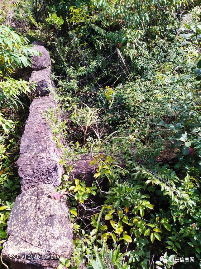 高峰|探寻揭西第一高峰附近的仙人塘古庵遗址