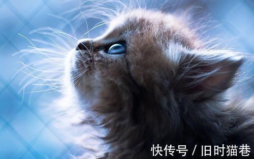 |幽默笑话:今天女神约我去逛街,我照照镜子看自己头发乱糟糟的