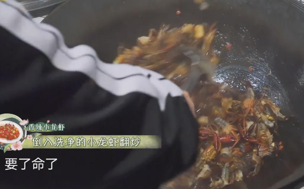 张子枫|《向往5》连饭都不好吃了7个人吃一锅虾还有剩,黄磊脸色难看