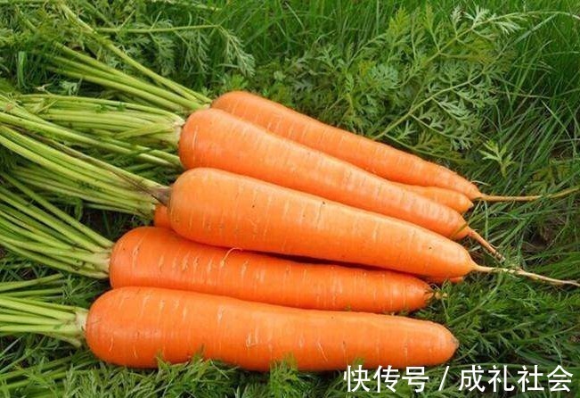 陈醋|经常“吃醋”可抗癌,但若与以下2物一起吃,那便是自找麻烦