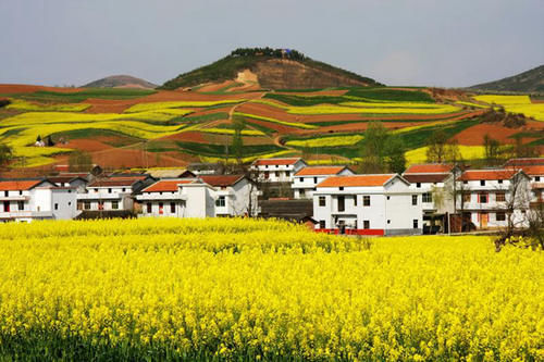 西安人踏春的首选，到处都是免费的美景，坐高铁只需要一个小时！