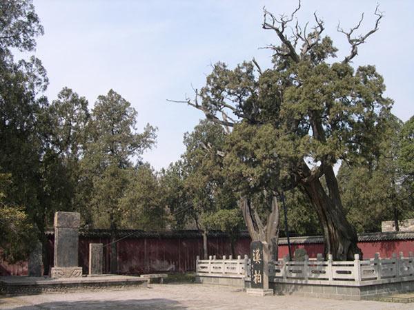 历史文化|岱庙帝王供奉泰山神灵举行祭祀大典场所