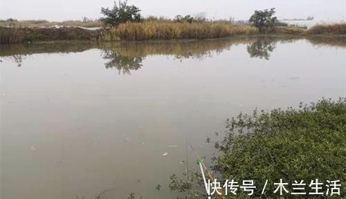 实战|初冬钓鲫鱼,不是钓得越远越好,实战告诉你,使用短竿也能连竿!